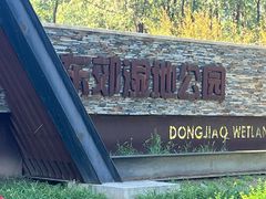 -东郊湿地公园