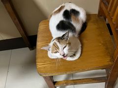 -许村蟹面(海宁许村大道店)