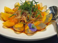 -张生记(双菱店)