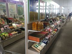 -东京都厅舍