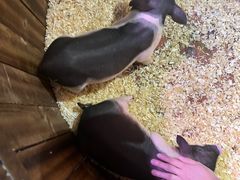 -正佳雨林生态植物园