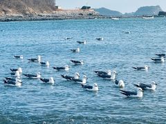 -银沙滩浴场