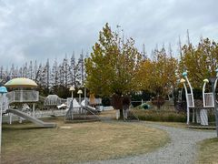 景点-上海长兴岛郊野公园