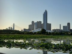 -月湖风景区