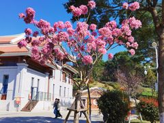 -仙岳公园