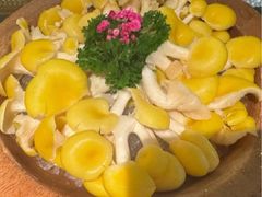 -季季山·云南野生菌火锅(上海首店)