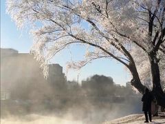 -北陵公园