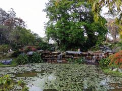 -东莞植物园