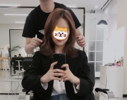 -T8 SALON