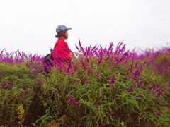 -中国香山·寿香谷