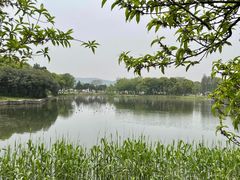 -无锡蠡湖国家湿地公园-蠡园