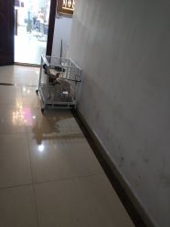 -MOKA SALON