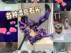 -中国地质博物馆