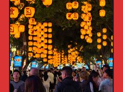 -越秀西湖花市(广州城市广场花卉店)
