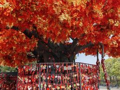 -芜湖方特东方神画