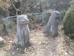-雨花胜境