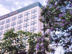 -成都保利公园皇冠假日酒店(熊猫基地店)