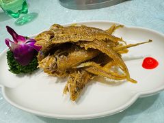 -金米箩大酒店(五角场店)