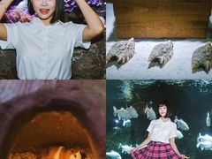 -南昌海洋公园