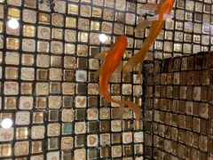 -阿诺泰·泰国餐厅(棕北店)