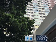 -彩虹村