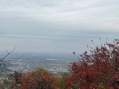 -香山公园
