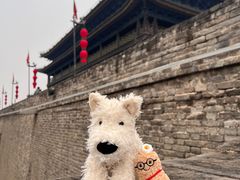 -西安城墙·碑林历史文化景区