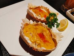 -将太无二·北美传奇寿司(荟聚购物中心西红门店)