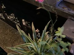-谷咖啡·鲜花绿植花园餐厅
