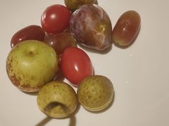 -肆月河豚·淮扬菜·湘菜(华天店)