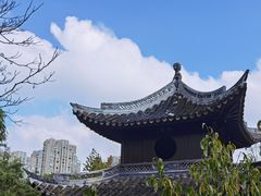 -水绘园
