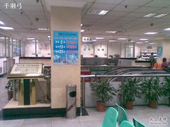 -上海群力中医门诊部(上海群力草药店)