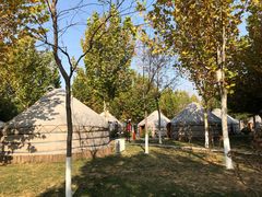 包房-九十九顶毡房(阜石路店)