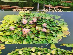 -国家植物园南园