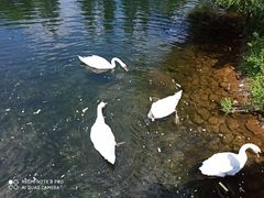 -长白岛森林公园