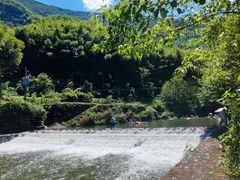 -芦茨金富饭庄·25年老字号·专做稻草鸡