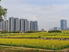 -光明小镇欢乐田园