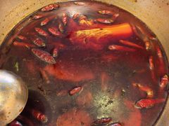 -金鼎雪山牦牛杂火锅(理县总店)