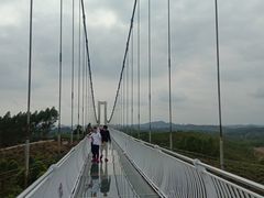 -田园寨农园观光园