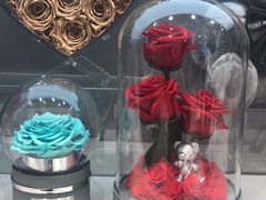 -ROSEONLY诺誓(广州K11店)