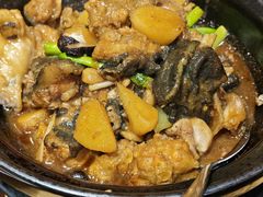 黑松露娃娃鱼焖鸡-汇景花园酒家(基立下道店)