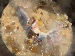 -桃源村铁锅炖鱼(体育馆道店)