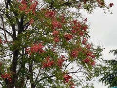 -白塘生态植物园