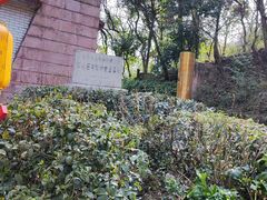 -黔灵山公园