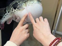 -鲐赏河豚(长寿店)