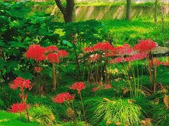 -共青国家森林公园-售票处