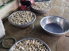 -双喜农庄·菌香园(安居家园店)