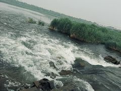 -绿堤公园