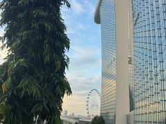 -新加坡摩天观景轮