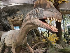 -湖南省地质博物馆